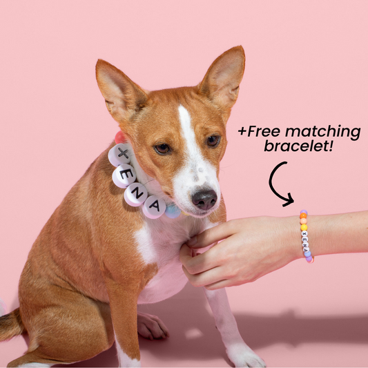 For Pet Parents Who Want More Than a Collar – A Matching Bond